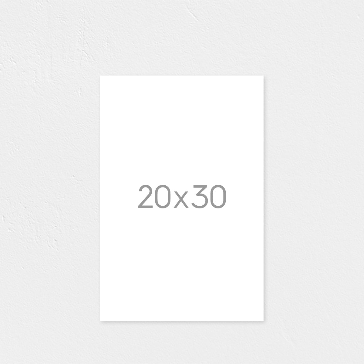 20x30"